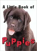Little Book of Puppies