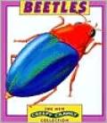 Beetles
