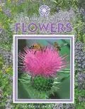 The Nature and Science of Flowers (Exploring the Science of Nature)