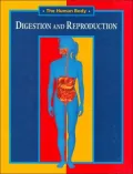 Digestion and Reproduction