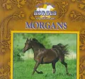 Morgans