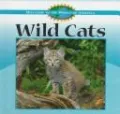 Wild Cats