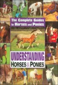 Understanding Horses and Ponies