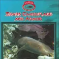 Shark Camouflage and Armor