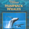 Humpback Whales (Whales and Dolphins Series)