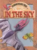 In the Sky