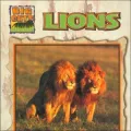 Lions (Big Cats Series)