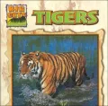 Tigers (Big Cats Series)
