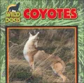 Coyotes (Wild Dogs Series)