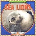 Sea Lions