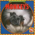Monkeys