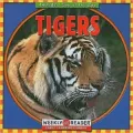 Tigers