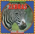 Zebras