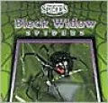 Black Widow Spiders