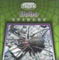 Hobo Spiders (Dangerous Spiders Series)