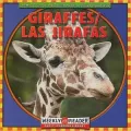 Giraffes/Las Jirafas