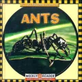 Ants
