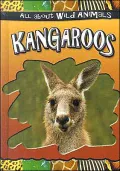Kangaroos