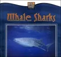 Whale Sharks