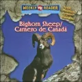Bighorn Sheep / Carnero De Canada: Animals That Live in the Mountains / Animales De Las Montanas