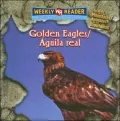 Golden Eagle /Águila Real