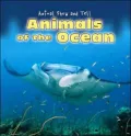 Animals of the Ocean