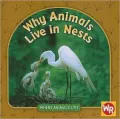 Why Animals Live in Nests