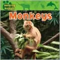 Monkeys