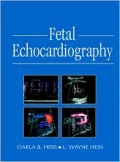 Fetal Echocardiography