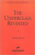 The Underclass Revisited