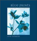Blue Prints