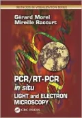 PCR/RT- PCR in-Situ Light and Electron Microscopy