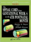 Spinal Cord from Gestational Week 4 to the 4th Postnatal Month, Vol. 1