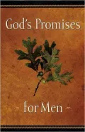 God's Promises For Men