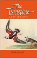 Turnstone: A Doctor's Story