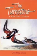 Turnstone