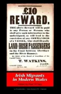 Irish Migrants in Modern Wales