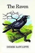 Raven A Natural History in Britain and Ireland