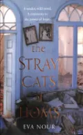 The Stray Cats of Homs