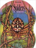 Spiders