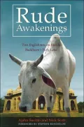 Rude Awakenings: Two Englishmen on Foot in Buddhism's Holy Land