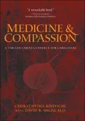 Medicine and Compassion: A Tibetan Lama's Guidance for Caregivers