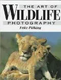 The Art of Wildlife Photography