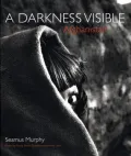 Afghanistan A Darkness Visible