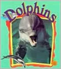 Dolphins