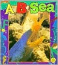 A... B... Sea