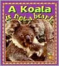 A Koala Is Not a Bear