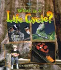 What Is a Life Cycle?