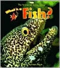 What Is a Fish?