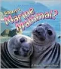What Is a Marine Mammal?